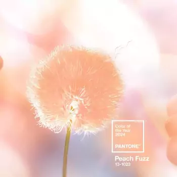 PANTONE Poutko na klíče S – Peach Fuzz 13-1023 (barva roku 2024)