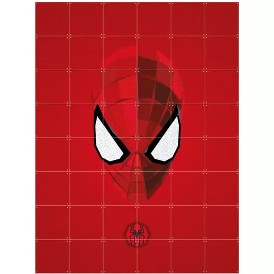 Skládaný obraz IXXI – Icon Spider–Man