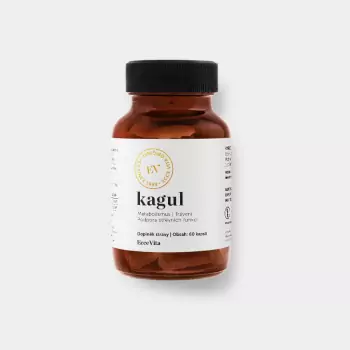 Podpora trávení, metabolismu a detox – Kagul